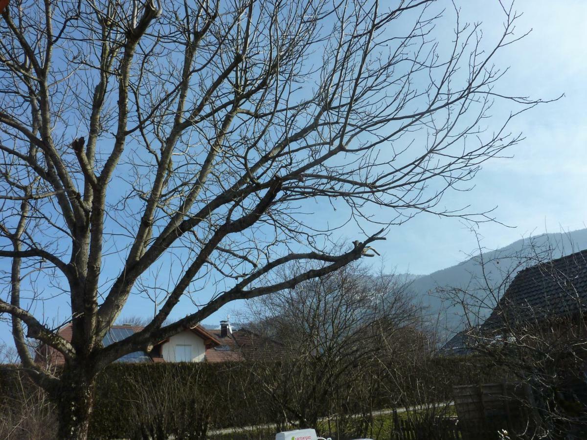 Studio 30 M2 jardinet 10minutes Annecy Villa Naves-Parmelan Exterior foto